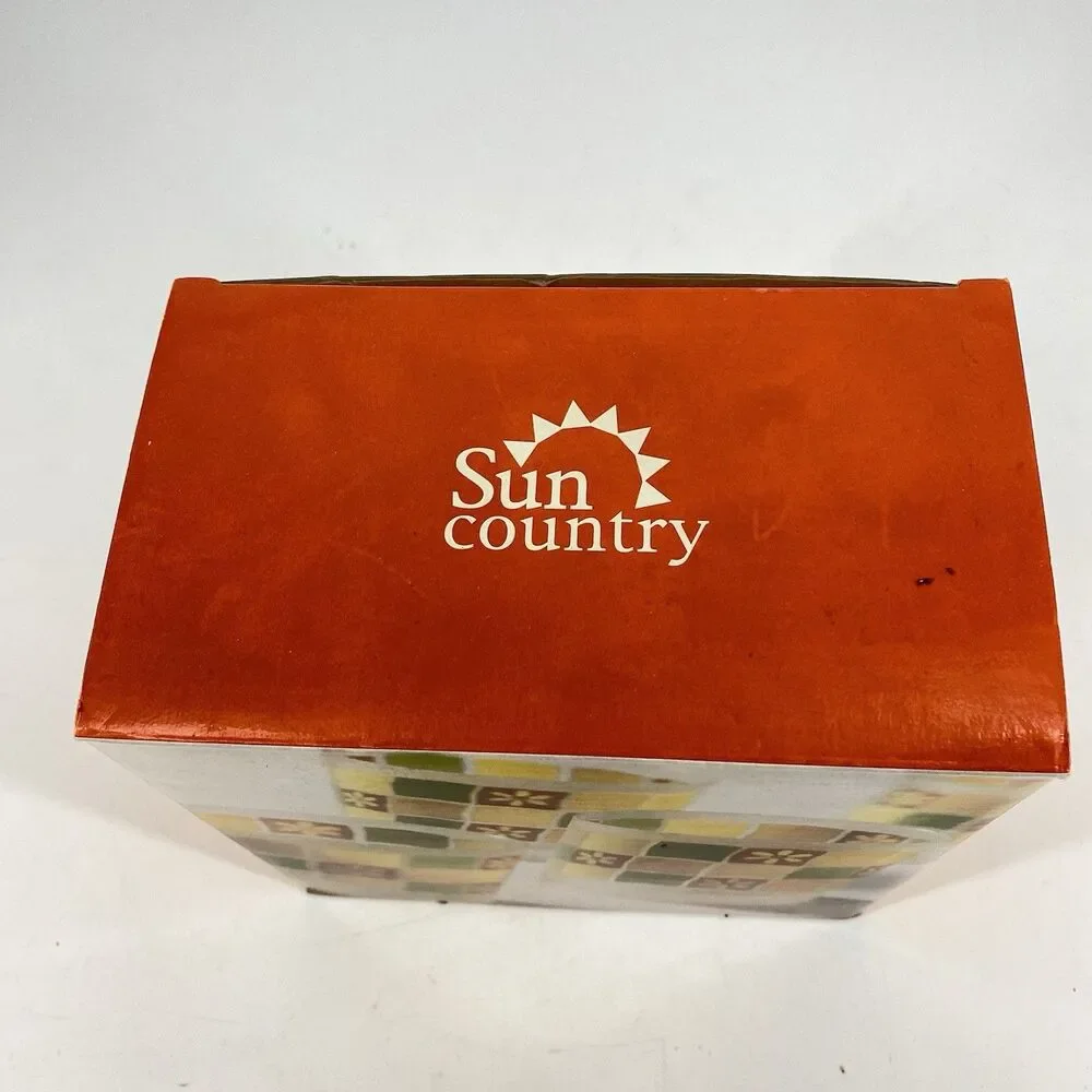 Vintage Sun Country Petal Power Set of 4 Double Old Fashioned Glasses 14 oz NIB